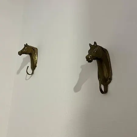 Bright Flat By Arno River, Walk Everywhere