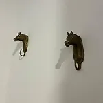 Bright Flat By Arno River, Walk Everywhere